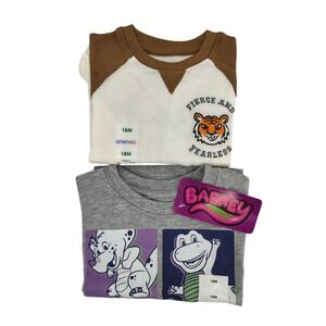 Barney & Garanimals Shirt Bundle Kids 18M Grey Brown Graphic Thermal Raglan NEW